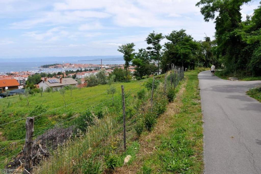 Apartment Izolanka / Great Location / Best Sea And City View Bagian luar foto